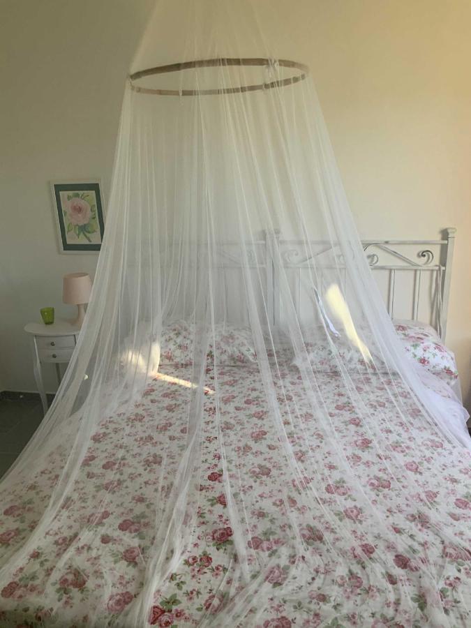 Beahouse: Casa Con Vista A Sassetta 아파트 외부 사진